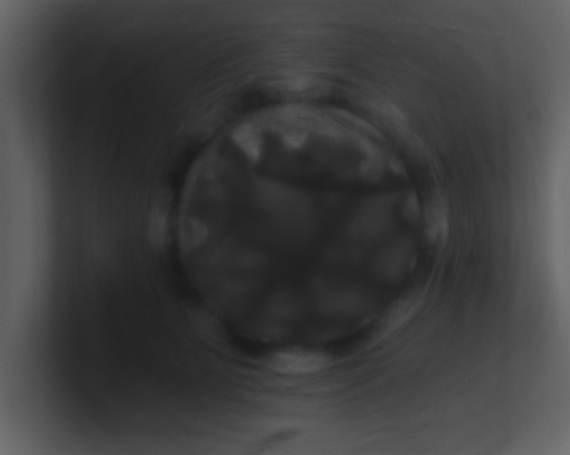 X0000100920515200807081154