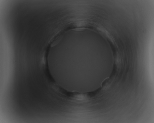 X0000100920516200807081154