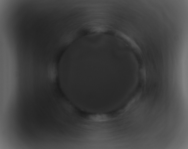 X0000100920517200807081154