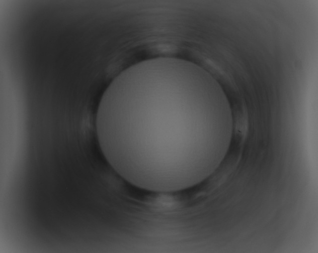 X0000100920518200807081154