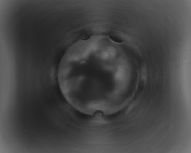 X0000100920519200807081154