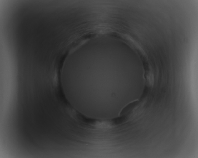 X0000100920520200807081154