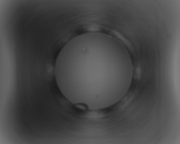 X0000100920521200807081154