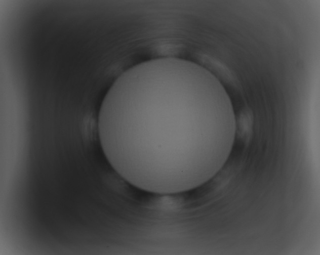 X0000100920522200807081154