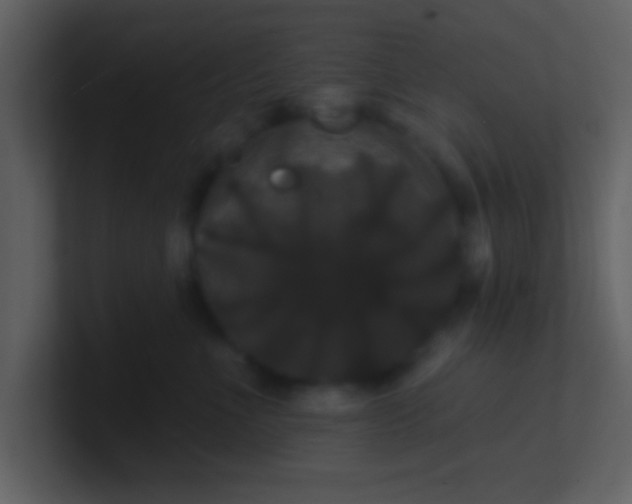 X0000100920523200807081154