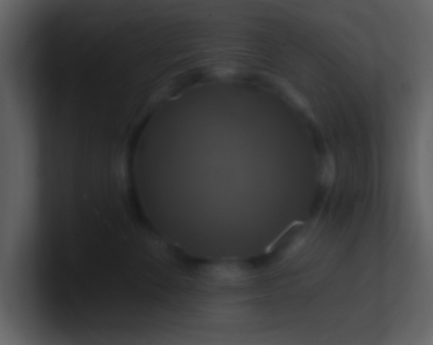 X0000100920524200807081154