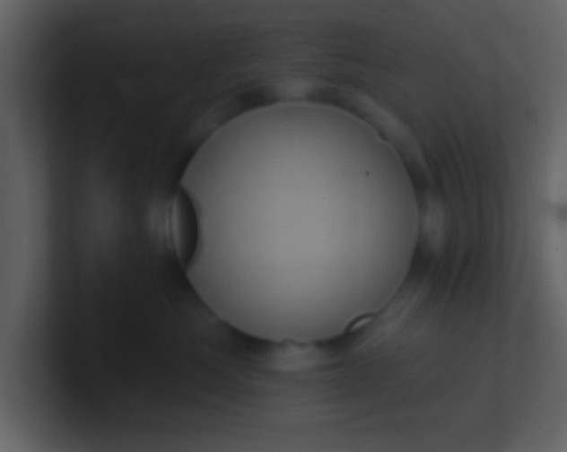 X0000100920525200807081153