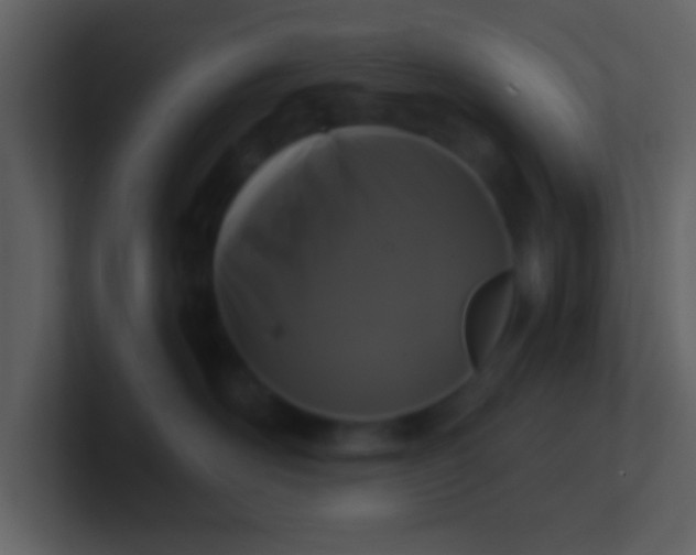 X0000100920526200807081153