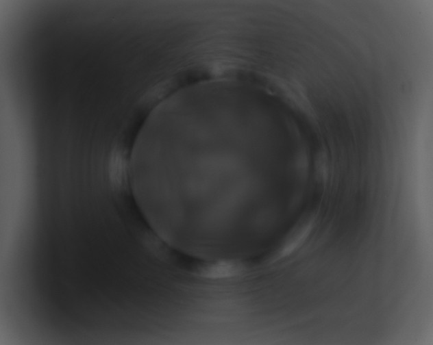 X0000100920527200807081153