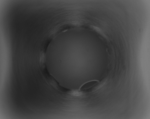 X0000100920528200807081153