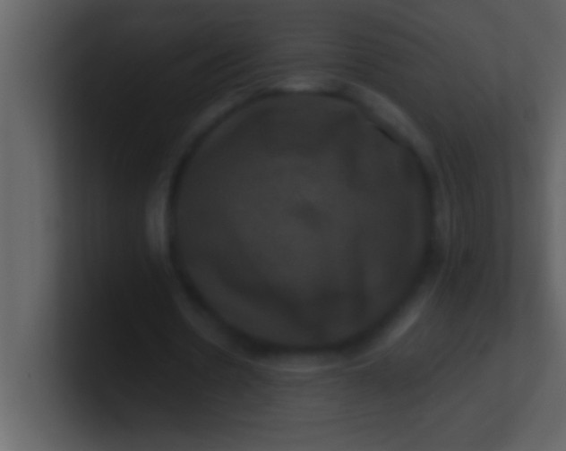 X0000100920530200807081153