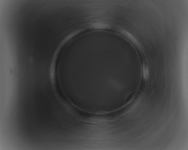 X0000100920531200807081153