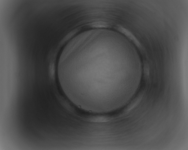 X0000100920533200807081153