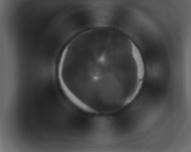 X0000100920534200807081153