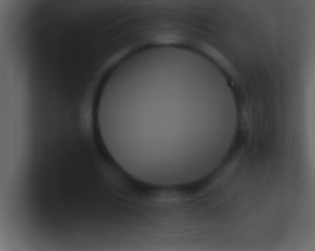 X0000100920535200807081153