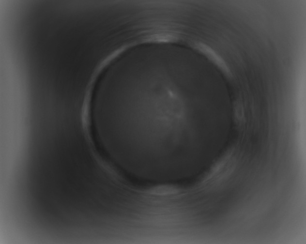 X0000100920536200807081153