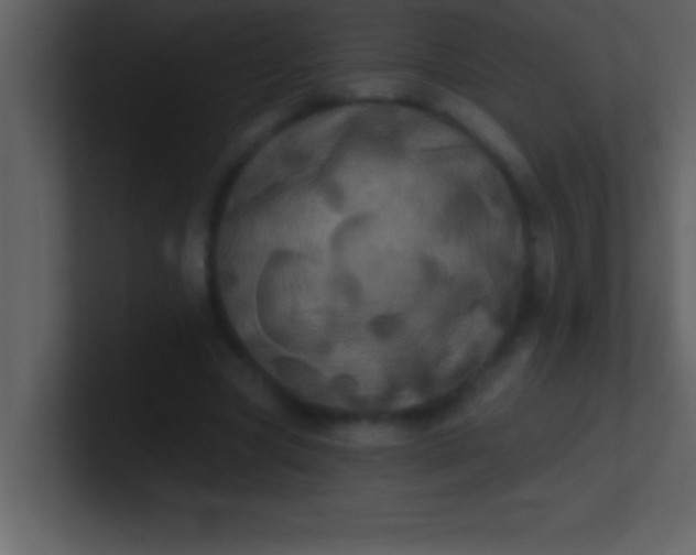 X0000100920537200807081153