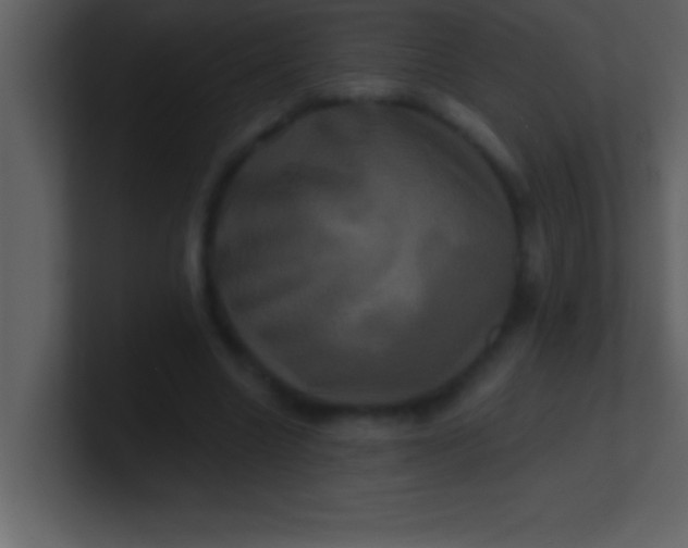 X0000100920538200807081153