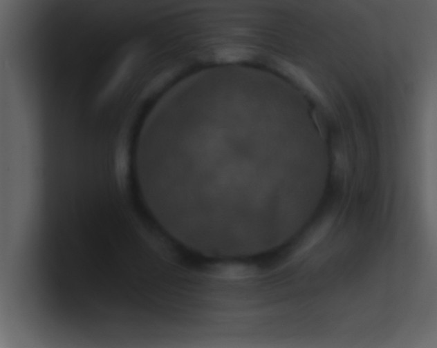 X0000100920539200807081153