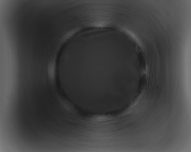 X0000100920540200807081153