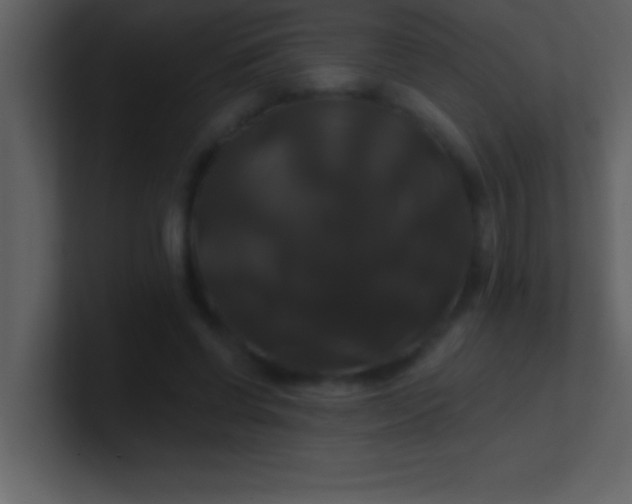 X0000100920542200807081153