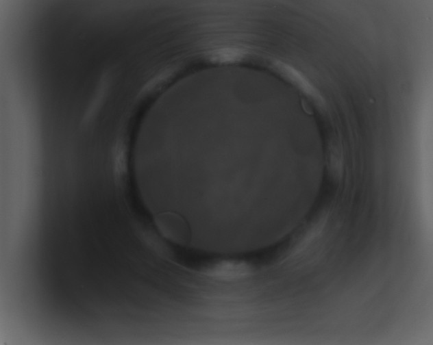 X0000100920543200807081153