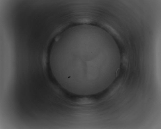 X0000100920544200807081153