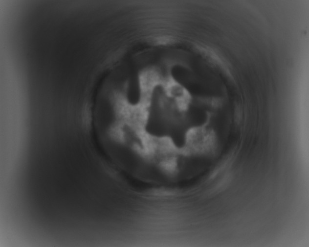 X0000100920545200807081153