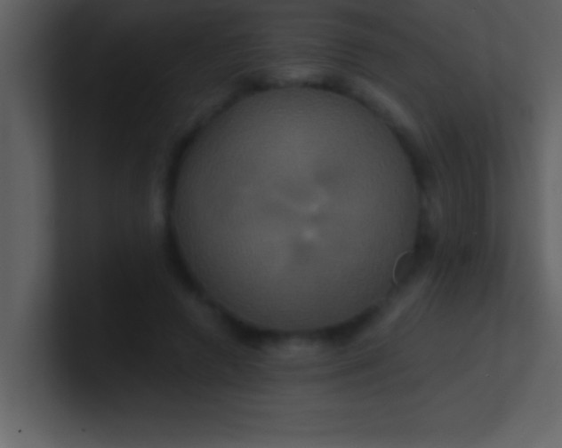 X0000100920546200807081153