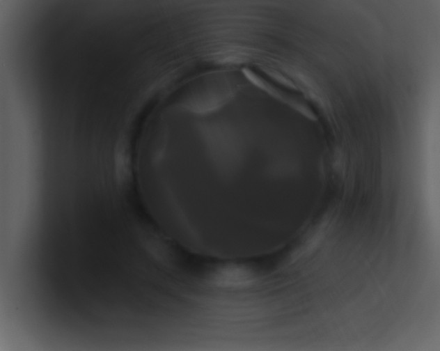 X0000100920547200807081153