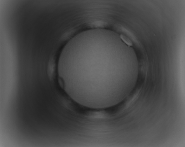 X0000100920548200807081153