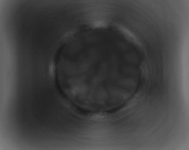 X0000100920550200807081153