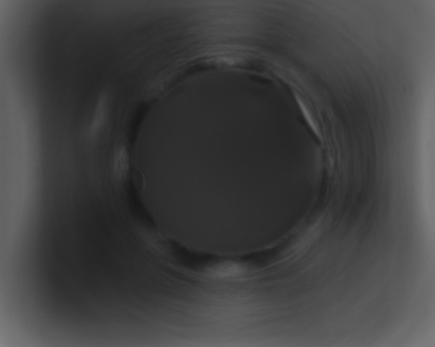 X0000100920551200807081153