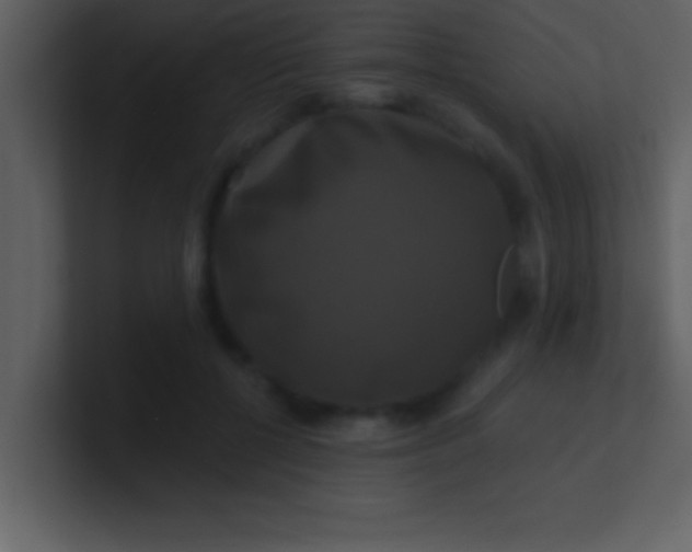 X0000100920552200807081153