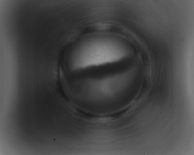 X0000100920553200807081153