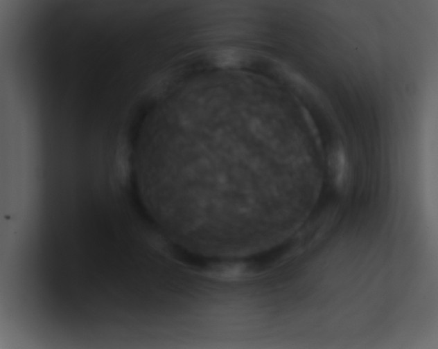 X0000100920554200807081153