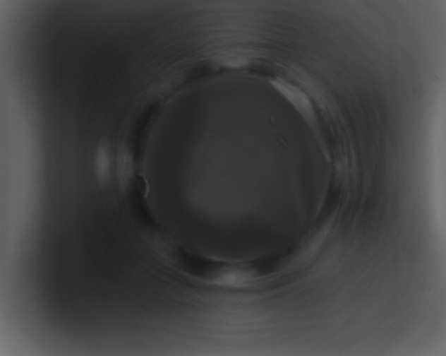 X0000100920555200807081153