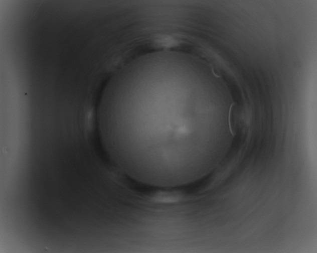 X0000100920556200807081153