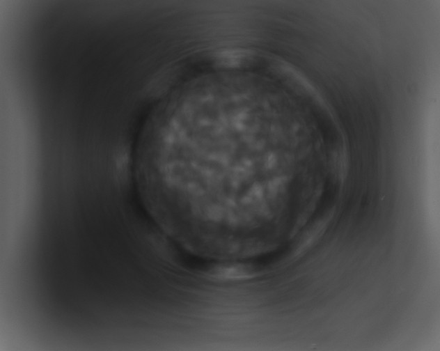 X0000100920557200807081153