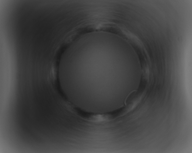 X0000100920558200807081153