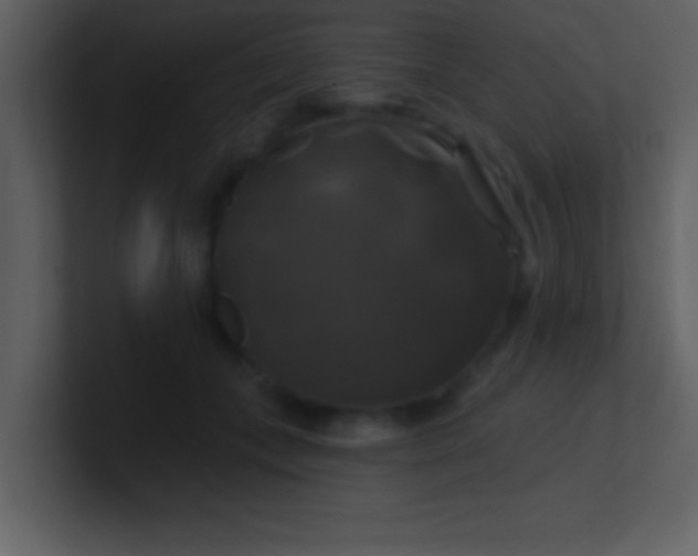 X0000100920559200807081153