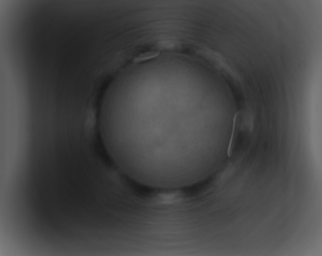 X0000100920560200807081153