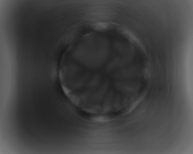 X0000100920561200807081153