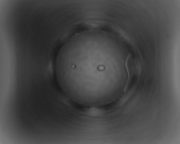 X0000100920562200807081153