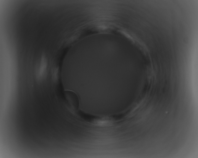 X0000100920563200807081153