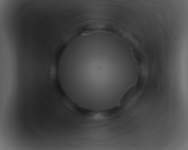 X0000100920564200807081153