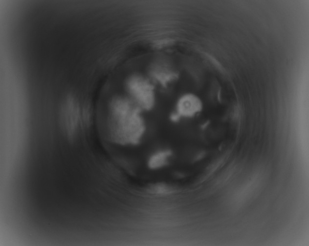 X0000100920565200807081153