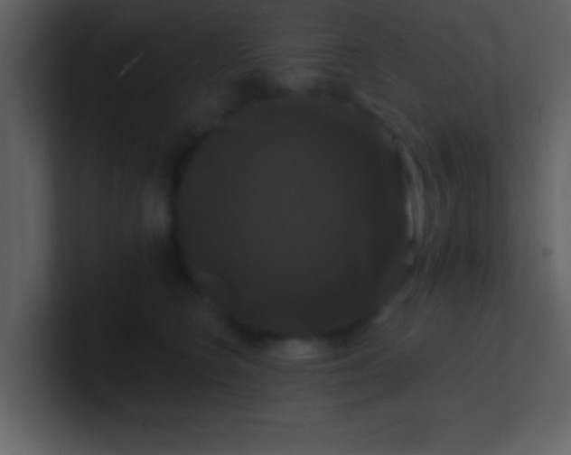 X0000100920566200807081153