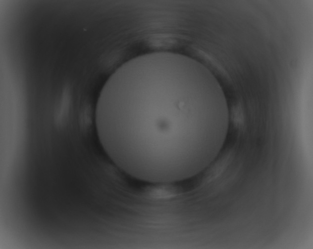 X0000100920567200807081153