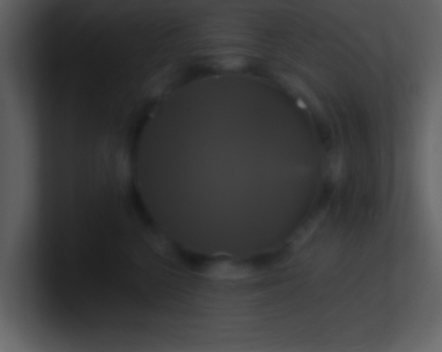 X0000100920568200807081153